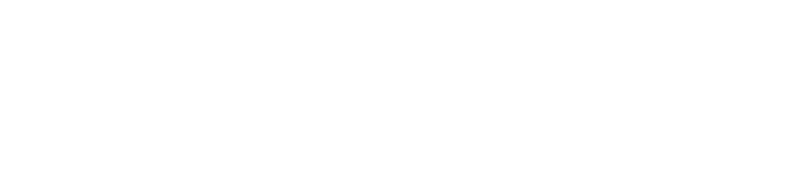 SocialLadder logo white